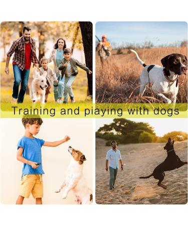 12-Piece Aluminum Emergency Whistle Set with Lanyard | Survival Signal Pipe for Hiking Camping & Outdoor Sports - Buy Online on GoSupps.com