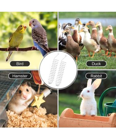 Bubuyun 2PCS Parrot Basket Bird Foraging Toy Parrot Feeder Skewer Hanging Parrot Feeder Stainless Steel Bird Skewer for Parrot Bird(26.5 4.5cm Silver) - Buy Online on GoSupps.com