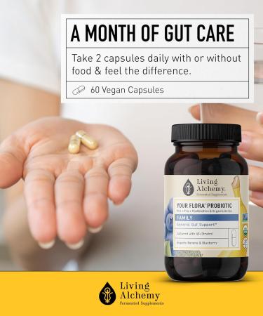 Your Flora Probiotic Family Non-GMO Probiotics with Fermented Soybean Banana & Blueberry for Digestion & Gut Support Prebiotics Postbiotics Digestive Enzymes Living Alchemy 60 Capsules - Buy Online on GoSupps.com