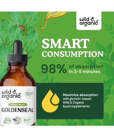 Wild & Organic Goldenseal Tincture - Respiratory Lung Health Drops & Digestive Support - 4 oz Liquid Extract - Buy Online on GoSupps.com