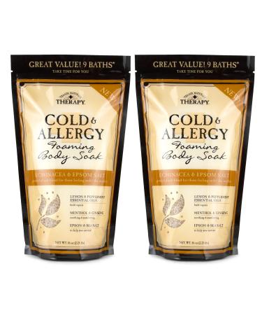 Village Naturals Therapy Cold & Allergy Foaming Body Soak Epsom Salt Essential Oils Soothing Bubbles Sea Salt 36 oz Pack of 2