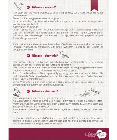 Premium 10kg Soldier Fly Larvae - Nutritious Bird & Fish Food | Eco-Friendly Alternative to Mealworms - Buy Online on GoSupps.com