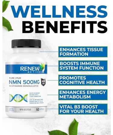 Renew Actives NMN 500MG Supplement - Highest Potency Available. Cellular Health Boosts NAD+ Promotes Longevity Energy Metabolism & Tissue Formation - 60 Capsules - Made in Canada - Buy Online on GoSupps.com