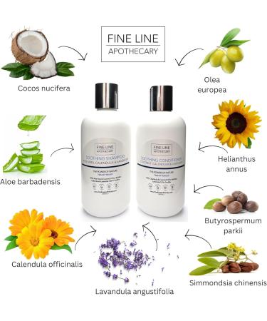 99% Natural SOOTHING SHAMPOO - ALOE VERA CALENDULA & LAVENDER - 250 ml - by Fine Line Apothecary. Sulfate Free Paraben Free. Concentrated. pH Balanced Gentle Suitable for Sensitive Skin - Buy Online on GoSupps.com