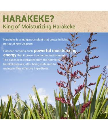  the SAEM Urban Eco Harakeke Cream 60ml - Quick Hydration Soft Melting Texture Facial Cream Intensive Moosturizing Natural Skin Care - Buy Online on GoSupps.com