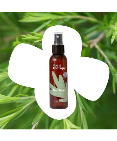 Plant Therapy Tea Tree (Melaleuca) Hydrosol 4 oz by-Product of Essential Oils 4 Fl Oz (Pack of 1) - Buy Online on GoSupps.com