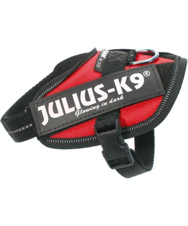 Buy IDC Powerharness 2XS/Baby 2 in Red - Premium International Shipping Available - Buy Online on GoSupps.com