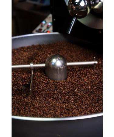 Coffee King Kopi Luwak 100 Arabica coffee 250g cat coffee from freeliving animals 250g beans varieties pure rare coffee Direct Trade - Buy Online on GoSupps.com