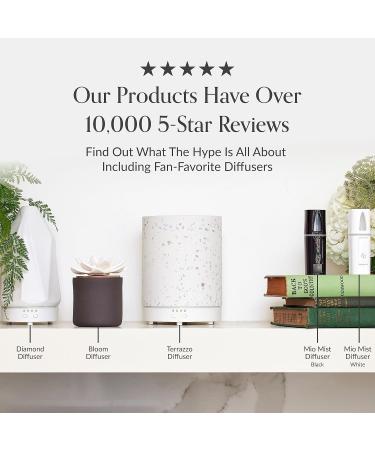 Edens Garden Cinnamon- Bark Essential Oil- 100% Pure Premium Grade Undiluted Natural Therapeutic Aromatherapy The Best for Diffuser Candle Laundry Humidifiers 10 ml (.33 fl oz) Cinnamon 0.33 Fl Oz (Pack of 1) - Buy Online on GoSupps.com