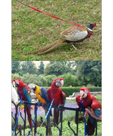 Shop the AVIATOR Bird Harness & Leash - Made in America XL Purple for Your Feathered Friend | International Shipping Available - Buy Online on GoSupps.com