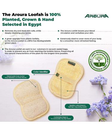Aroura Egyptian Natural Loofah Pads - Pack of 3 Flexible Fiber Sponges for Glowing Skin - Buy Online on GoSupps.com