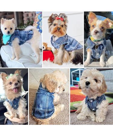 Brocarp Dog Jean Jacket Blue Denim Vest Coat for Small Dogs - Cute & Machine Washable Apparel - Buy Online on GoSupps.com