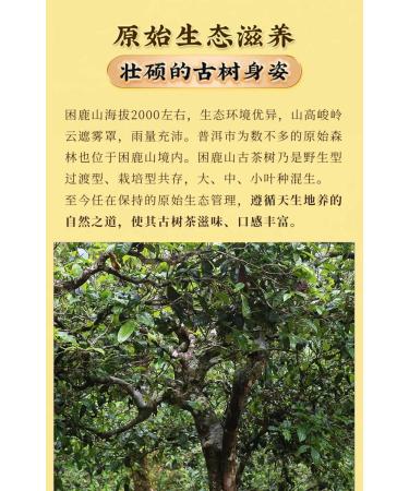 Pu-erh tea 2020 SHENG JIA YUAN Sleepy Deer Mountain 357g Raw - Buy Online on GoSupps.com