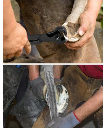 QWORK 3-Piece Professional Hoof Trimming Tool Kit | Hoof Knife Cutting Pliers & Rasp for Efficient Farrier Work | International Shipping Available - Buy Online on GoSupps.com