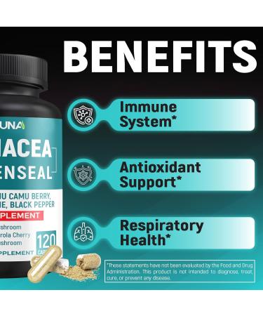 CIVIMUNA Echinacea Extract Capsules with Echinacea Goldenseal Root Elderberry and More - 120 Capsules for 4 Months Supply - Buy Online on GoSupps.com