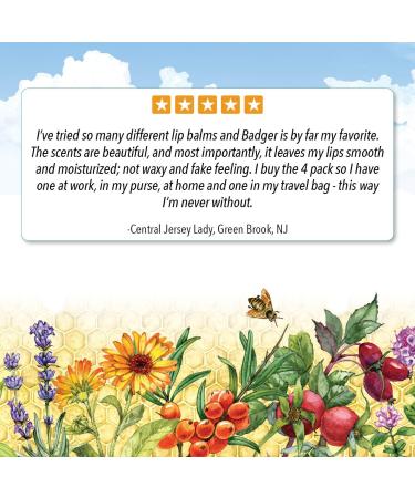 Badger Organic Classic Lip Balm Sticks - Blue Box (4 x 0.15 oz) | Natural Moisturizer - Buy Online on GoSupps.com
