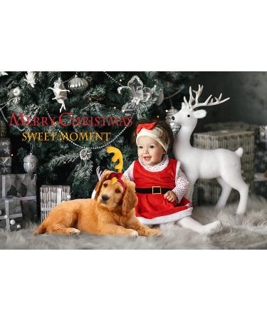 Dog Superhero Costume Set - Pet Helmet, Cosplay Crown, Bandana, President Badge, Antler Headband - Halloween & Christmas Dog Costumes - Buy Online on GoSupps.com