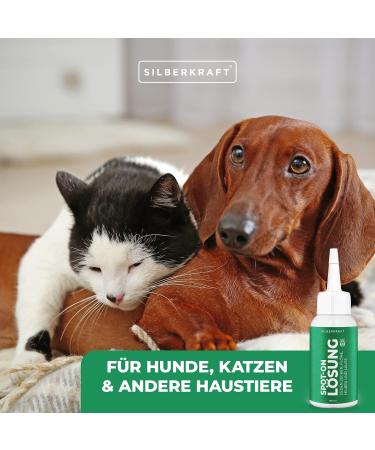 Silver Power Spot On Solution 100ml - Effective Tick Flea Mite & Lice Treatment for Dogs & Cats - Safe Anti-Vermin Remedy for Young Pets 12 Weeks+ - Buy Online on GoSupps.com