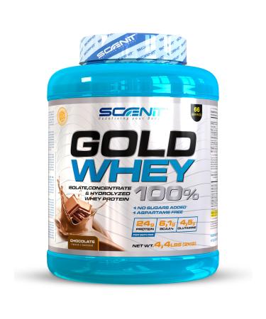 Proteine Whey - Gold Whey 100% - Proteines musculation - prot ines whey - whey protein isolate isolate whey protein et concentrate - Whey Isolate et concentrate et hydrolysat - 2 kg (Chocolat)