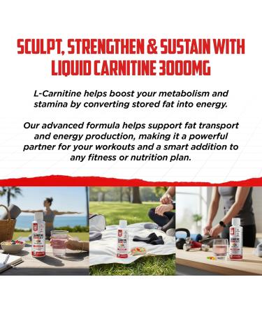 Liquid L-Carnitine 3000mg | Advanced 4-in-1 Formula with Acetyl L-Carnitine L-Tartrate ProGBB & Vitamin B Complex Stimulant-Free High Absorption L Carnitine Supplement for Energy & Metabolism 16oz - Buy Online on GoSupps.com