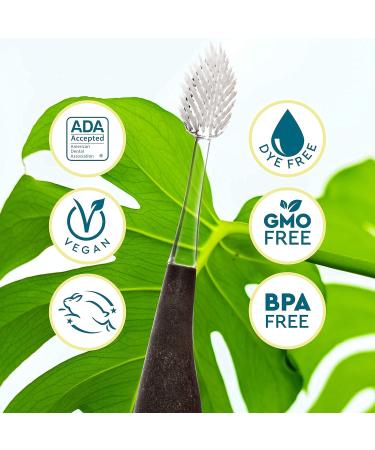 Buy RADIUS Toothbrush Source Floss Brush | BPA Free ADA Accepted Super Soft - Improve Gum Health | Assorted Colors Pack of 6 - International Shipping Available - Buy Online on GoSupps.com