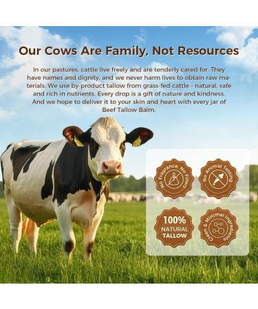  Generisch Moisturizing face cream - 50g - Soothing and nourishing lotion - For morning and evening use after showering and removing makeup - Buy Online on GoSupps.com