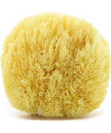 Tom & Pat natural sponge grass - soft bathing sponge nature from Greece for extra lots of foam dermatest: very good - shower sponge in premium quality perfect for sensitive skin & babies (13-14 cm) - Buy Online on GoSupps.com