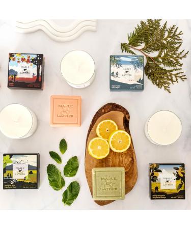 Buy Maple & Lather Triple Milled Bar Soap - Northern Mint Exfoliating & Moisturizing 209g - Sustainably Sourced from Provence France - Buy Online on GoSupps.com