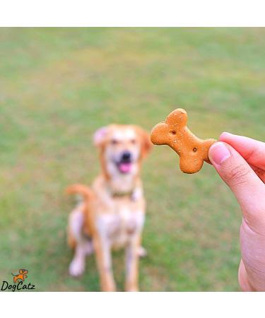 Puppy Clicker for Obedience Training | Train Pets Puppies Cats & Dogs - Red - Buy Online on GoSupps.com