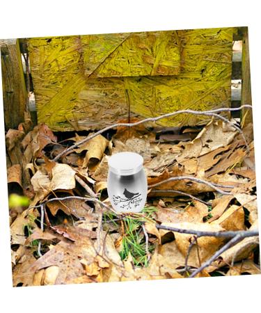 BESPORTBLE 3pcs Parrot Urn Pet Small Urns for Ashes Dog Urns for Ashes Cat Urns for Ashes Stainless Steel 4.00X3.00X3.00CMx3pcs Silverx3pcs - Buy Online on GoSupps.com