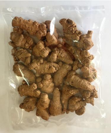 Panax Notoginseng Tian Qi (San Qi) Root Top Grade Herbs (Whole Root Medium 4oz) 1 Fl Oz (Pack of 1) - Buy Online on GoSupps.com