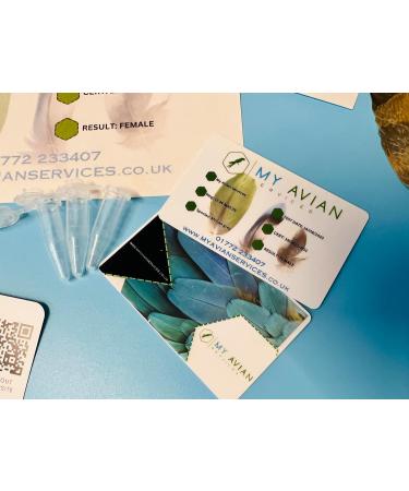 Avian DNA Sexing Kit Including ID Card for Parrots - Macaws Cockatoos African Grey Lovebirds Cockatiels and 300 More. Avian DNA Bird Sexing Sample Kit. Every Test Comes with A Free ID Card! - Buy Online on GoSupps.com