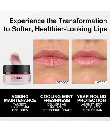 Dr Sebagh Lip Balm (0.5 fl oz) - Luxury Healing Lip Balm for Dry Lips & Chapped Lips - Intense Lip Hydration & Repair - Lip Moisturizer for Women and Men- Nourishing Lip Treatment & Lip Care Essential - Buy Online on GoSupps.com