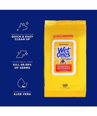 Wet Ones Pets Multipurpose Wipes for Dogs & Puppies - Tropical Splash Scent - 300 Count - Buy Online on GoSupps.com