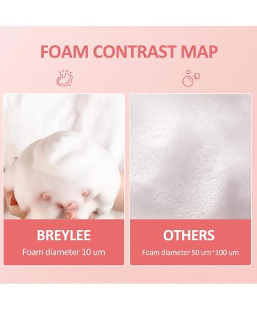 Buy Breylee Eyelash Shampoo - 200ml Eyelash Care for Salon & Home Use Eyelash Extension Makeup Remover with 2 Brushes | International Shipping - Buy Online on GoSupps.com