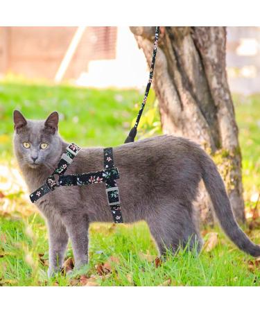 2PC Adjustable Cat Line Set | Soft Dishes & Leash for Kittens | Outbreak-Proof Tableware (Black & Red) - Ideal for International Shipping - Buy Online on GoSupps.com