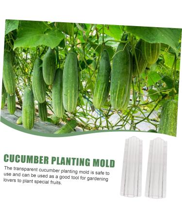 Toddmomy Garden Fruit Mould 8 Pcs Vegetable Shaping Mold Cucumbers Fruit Mold Fruit and Vegetable Suite Gourd - Buy Online on GoSupps.com