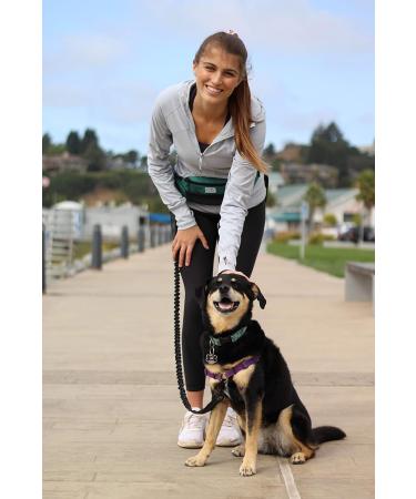 One Trail Hands Free Dog Lead | Durable Bungee Leash With No-Bounce Pack (Large Dog Black) Large Dog Black - Buy Online on GoSupps.com