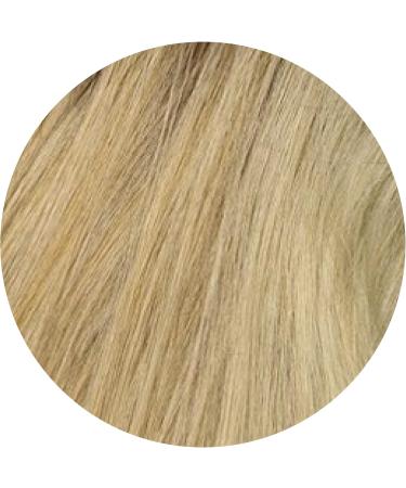  LEON MIGUEL LEON MIGUEL Root Powder Waterproof Hairline Powder as Hair Concealer Perfect for Hiding Roots Invisible Makeup for Thickening Hair (Light Blonde Hairline Powder - Buy Online on GoSupps.com