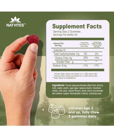 Natvites Prebiotic Kids Fiber Gummies for Children Ages 2 & Up - Sugar Free Vegetarian Gelatin Free Non-GMO Kids Fiber Supplements for Digestive Health (120 Count) - Buy Online on GoSupps.com