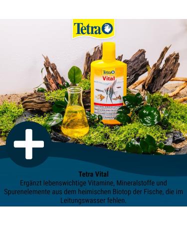 Tetra Vital - Boost Fish Vitality & Color | Vitamins & Minerals | 250 ml Bottle - Buy Online on GoSupps.com