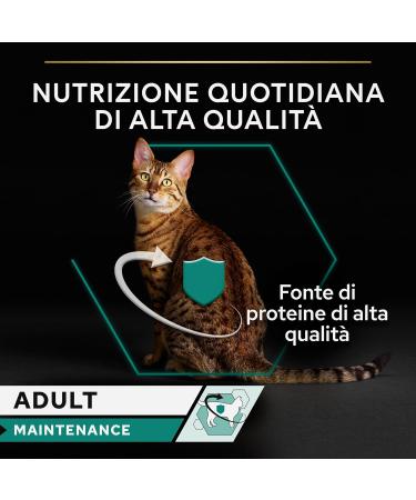 teknotrust Sterilised Neutered Cat Canned Salmon 85 gr X 12 Pieces - Buy Online on GoSupps.com