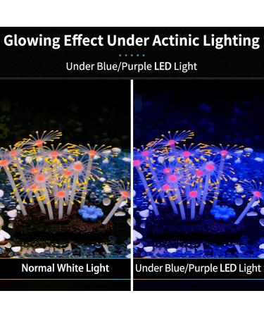 Pawfly Glowing Effect Artificial Coral Plant Decor Ornament for Fish Tank Aquarium Orange Flower Coral - Buy Online on GoSupps.com
