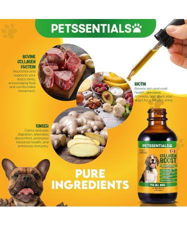 Collagen for Dogs Liquid Supplement 60ml | Natural Collagen Supplement for Dogs | Joint Health & Mobility Support | Promotes Healthy Skin & Coat | Supports Overall Well-Being | Natural Ingredients - Buy Online on GoSupps.com