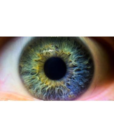 Leica Q (Typ 116) & Q2 10x High Definition Macro Lens - Buy Online on GoSupps.com
