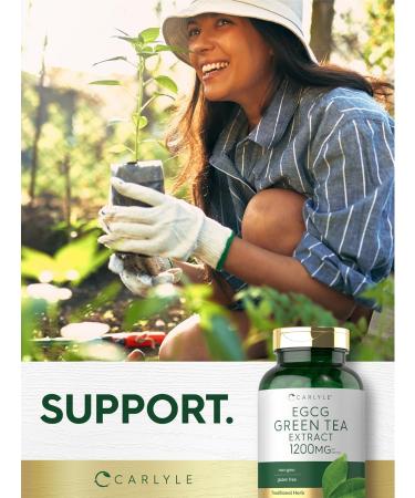 Carlyle EGCG Green Tea Extract | 1200mg | 200 Capsules | Non-GMO and Gluten Free Supplement - Buy Online on GoSupps.com