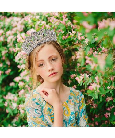 Frcolor Princess Tiara Crown with Comb - Rhinestone Crystal Queen Headband for Wedding Bridal Party & Birthdays - Buy Online on GoSupps.com