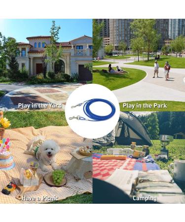 Dog Tie Out Cable and Stake for Outdoor Camping and Yards Ideal for Small Medium and Large Dogs (3 Blue) 3 Blue - Buy Online on GoSupps.com