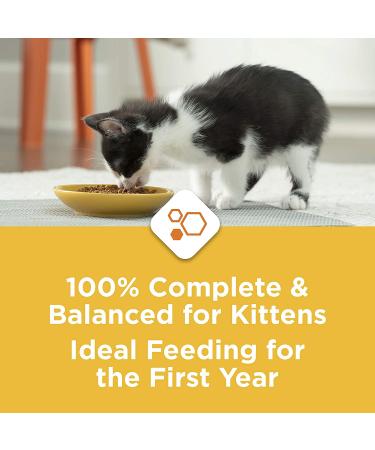 Purina Kitten Chow Dry Kitten Food - (4) 3.15 lb. Bags - Supports Muscle and Brain Development - Buy Online on GoSupps.com