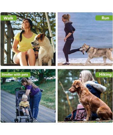 Premium Stretchy Dog Leash for Jogging & Hiking - Ideal for Small to Medium Dogs (118-200 cm) - Buy Online on GoSupps.com